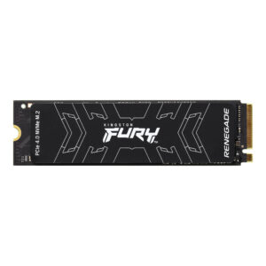 SSD Kingston Technology FURY RENEGADE