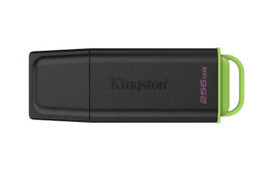 Memorias USB Kingston Technology DTXG2